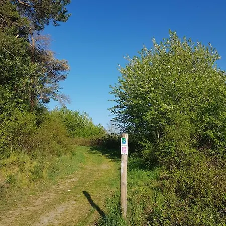 Ferienapartment Im Augustinus Park Appartement Trier